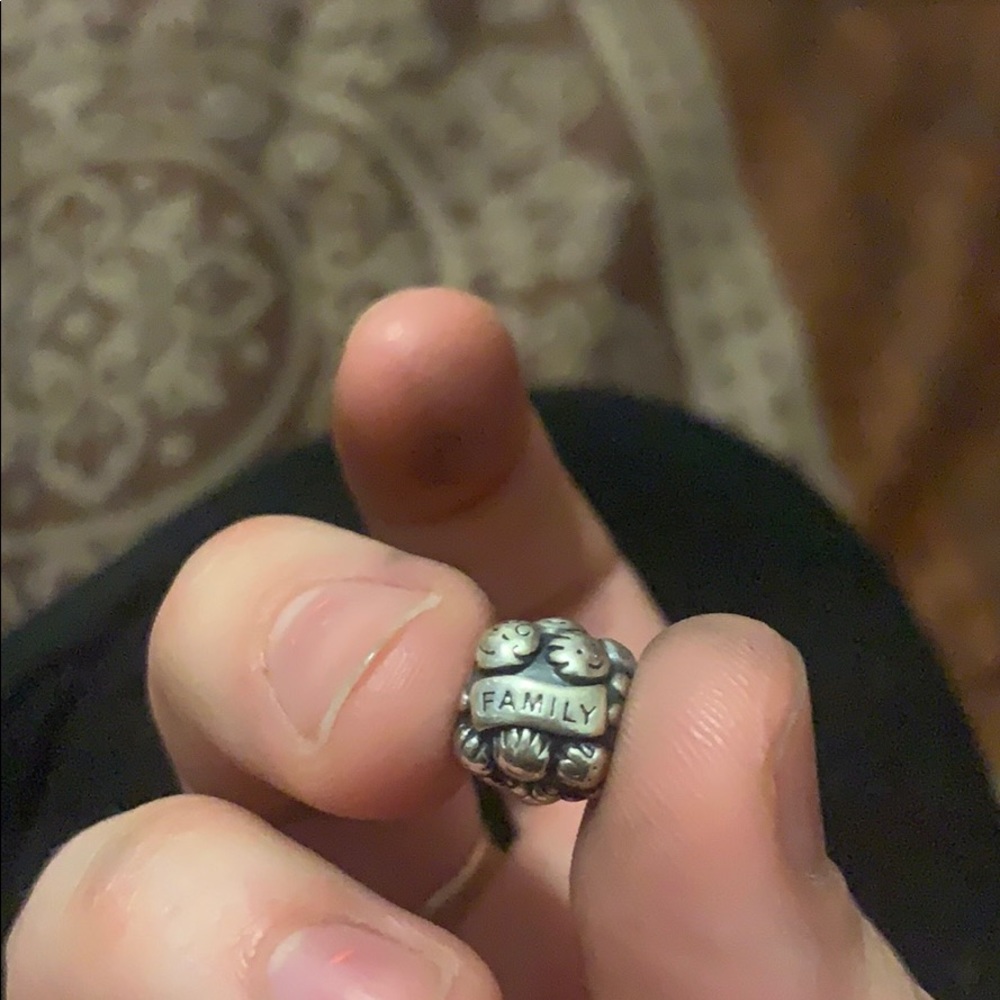 Family pandora charm